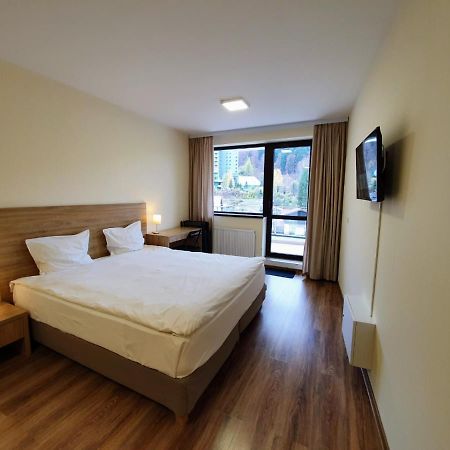 Studio Mountain View Сіная Екстер'єр фото