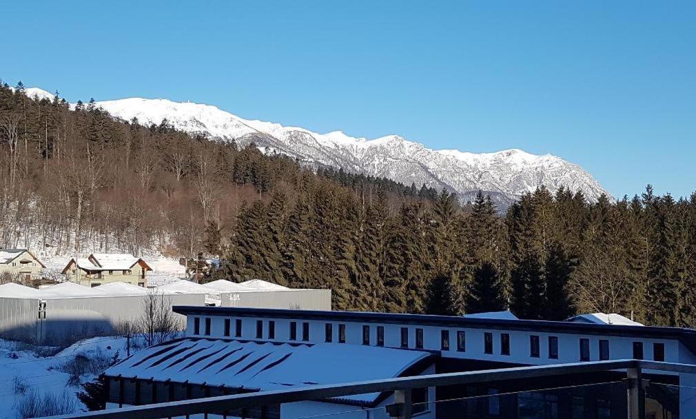 Studio Mountain View Сіная Екстер'єр фото