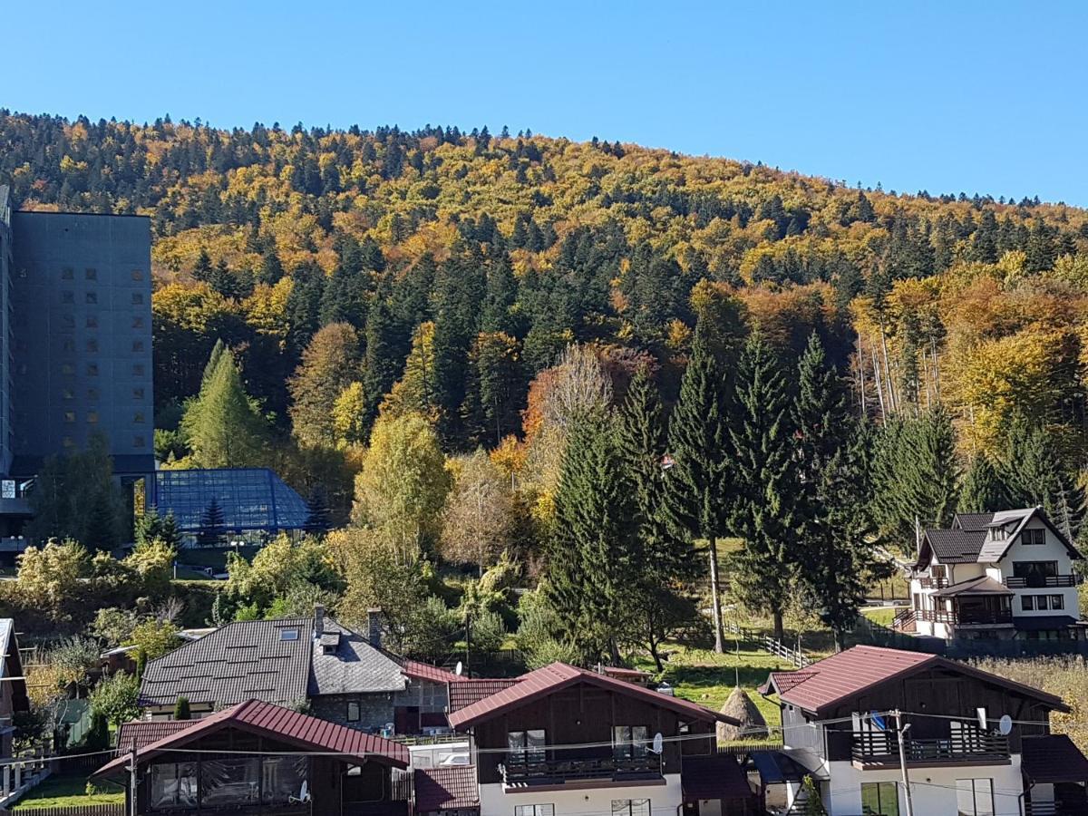 Studio Mountain View Сіная Екстер'єр фото