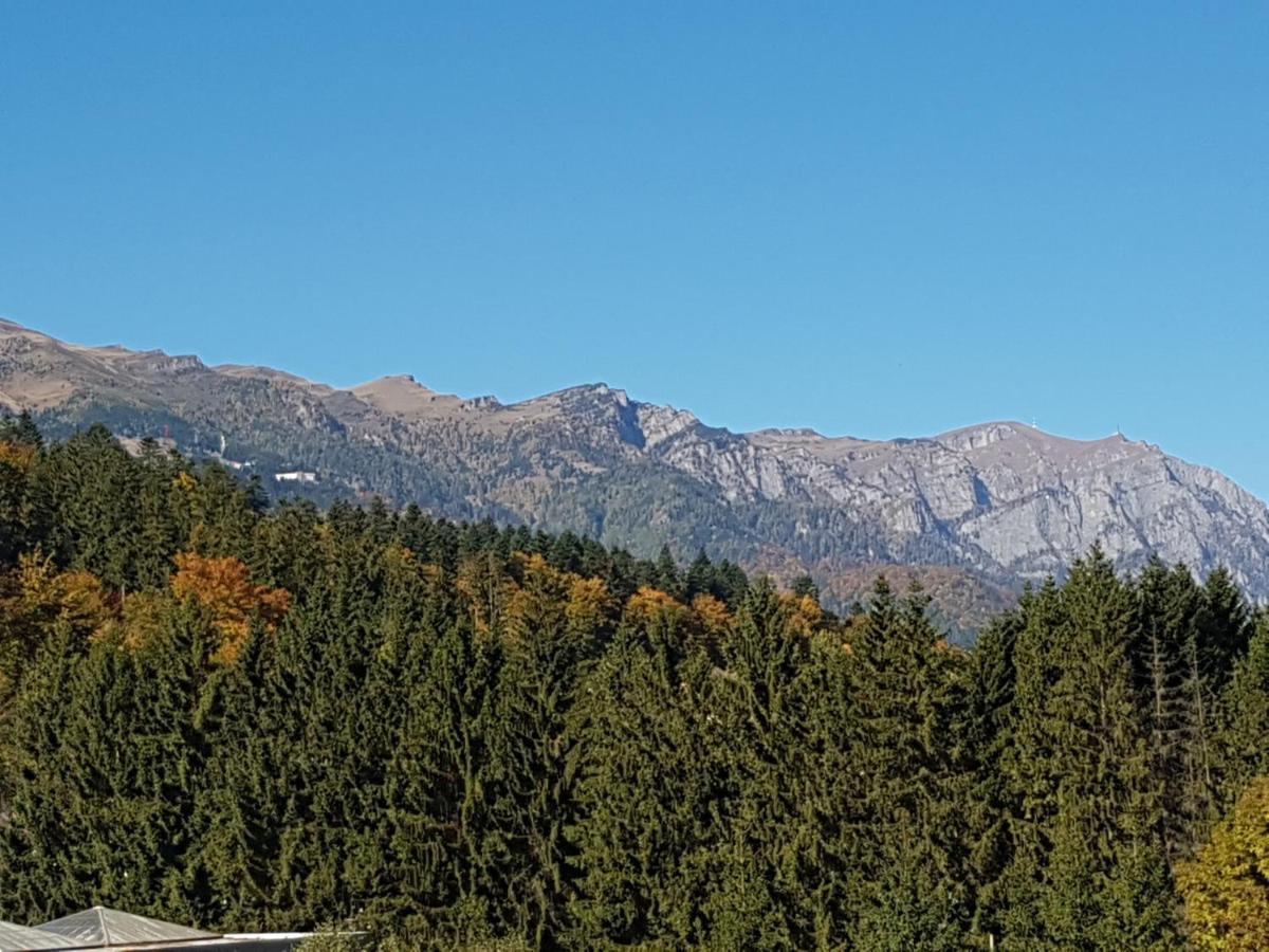 Studio Mountain View Сіная Екстер'єр фото