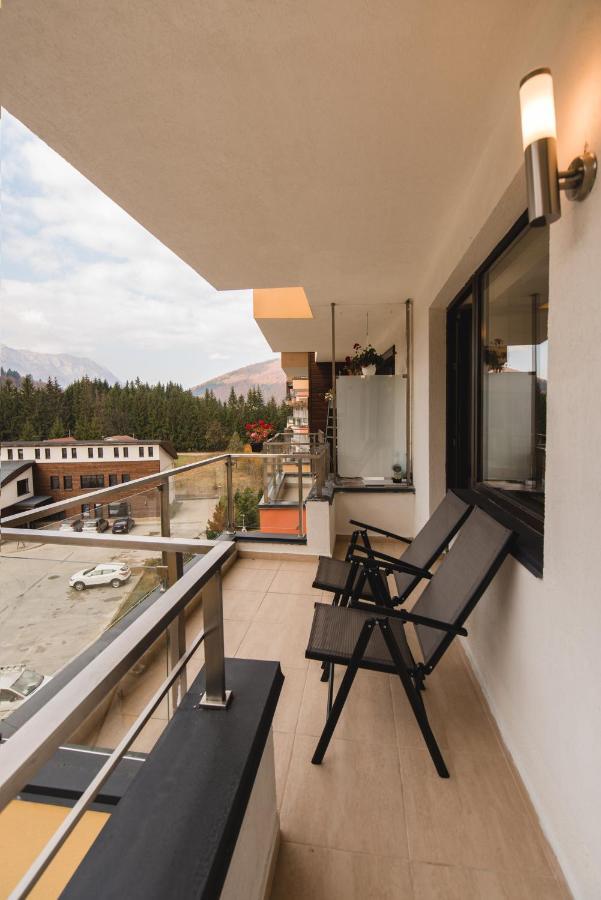 Studio Mountain View Сіная Екстер'єр фото