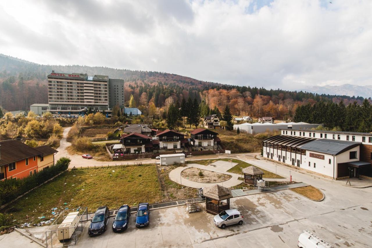Studio Mountain View Сіная Екстер'єр фото